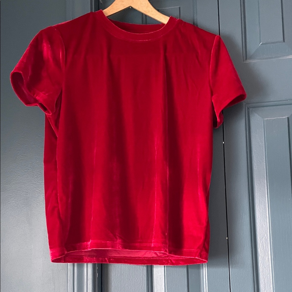 Madewell Velvet Relaxed Tee in Ruby - Picture 2 of 6